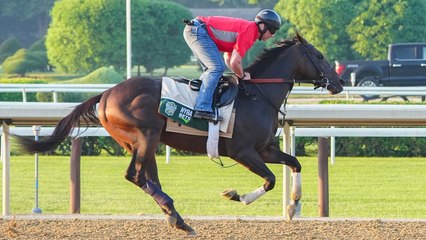 Honor Marie: A Top Pick for Upcoming Belmont Stakes Analysis
