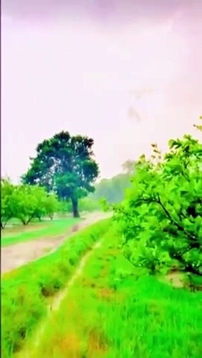 View+song