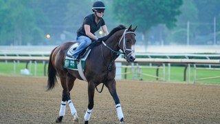 Belmont Stakes: Dornoch's Comeback After Kentucky Derby