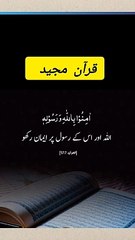 Quran majed Urdu translation