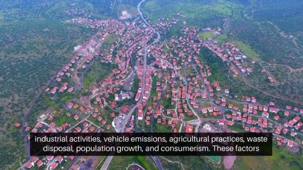 The Devastating Impact of Pollution on Life