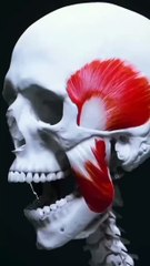 moot  #khalilswati #viralvideo #qurantilawat #trendingvideo#surat #50kviews#quran #views #viral