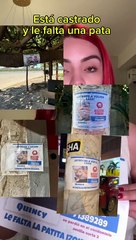 La Sabrosa ofrece recompensa de Bs 2.000 por recuperar a su gatito