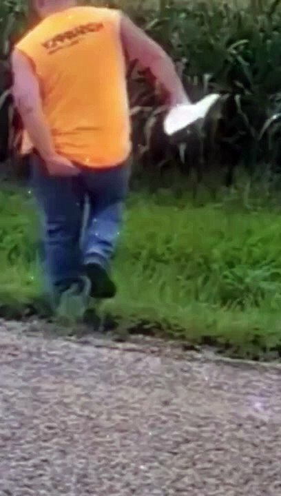 Par par par funny content 