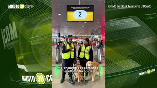 La emotiva despedida de 'Nieves y Oliver' Dos canes se jubilan tras velar por la  seguridad del Aeropuerto Internacional El Dorado