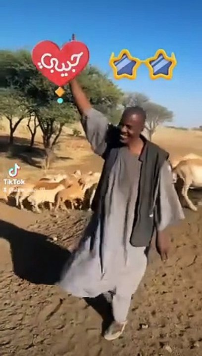 funny video