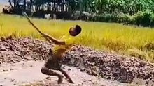 Funny videos viral