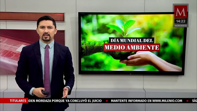 Pedro Hernández, el artesano zapoteca que le da una segunda vida a las botellas de plástico
