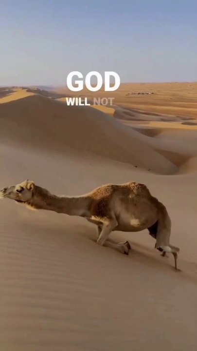 Never give up