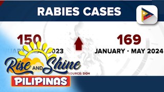 Kabuuang bilang ng kaso ng rabies sa bansa, tumaas ng 13% ayon sa DOH