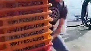 Vídeo flagra pescador arremessando caixas da Kiki Pescados no mar