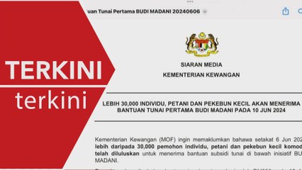 [TERKINI] BUDI MADANI: Lebih 30,000 permohonan diluluskan, RM200 disalur 10 Jun
