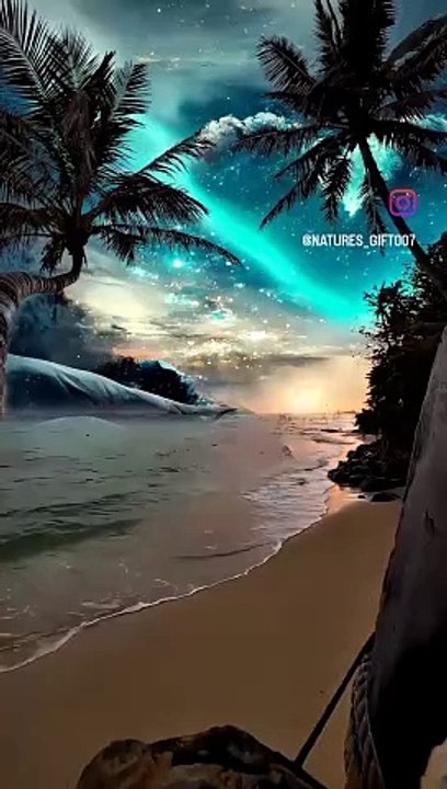 VID_8431046