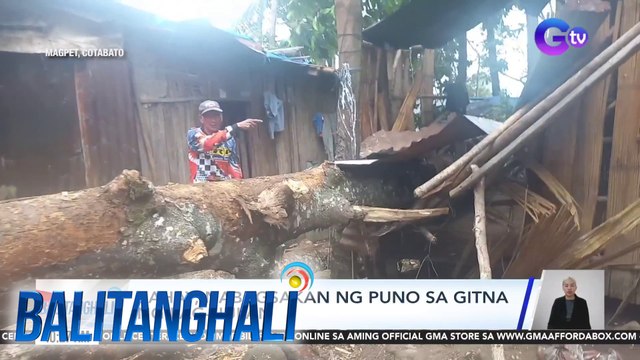 Bahay, nabagsakan ng puno sa gitna ng pag-uulan - Weather update today as of 10:27 a.m. (June 6, 2024) | Balitanghali