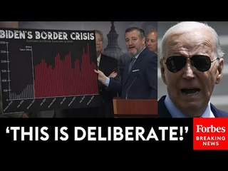 Ted Cruz Drops The Hammer On Biden For Letting In '11 Million Illegal Immigrants' During Presidency