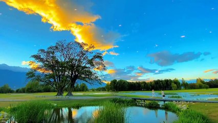 Hazrat Luqman Haqeem as aur Ek Gadhay Ka Waqiya | Islamic Stories