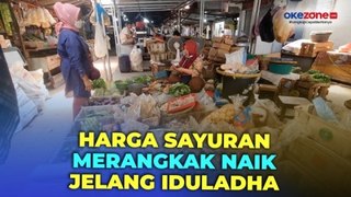 Jelang Iduladha, Harga Sayuran di Yogyakarta Merangkak Naik