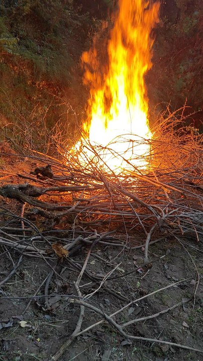 fire