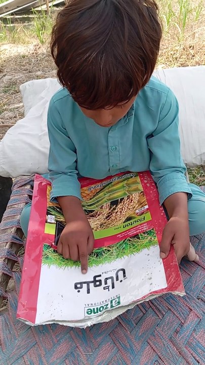 Bachy ki study check kare