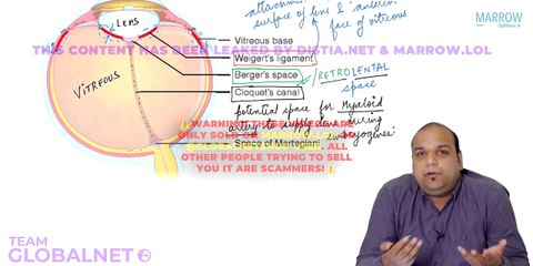 Lens anatomy and metabolism yw opthalmology