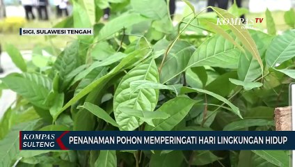 Penanaman Pohon Memperingati Hari Lingkungan Hidup