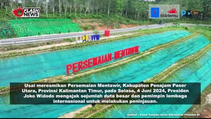 Para Duta Besar  Terkesan Diajak Jokowi Keliling Persemaian Mentawir