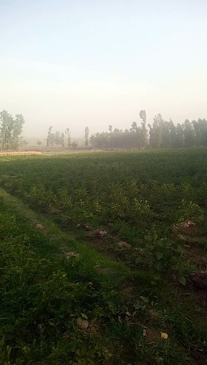 VID_20240524_173424