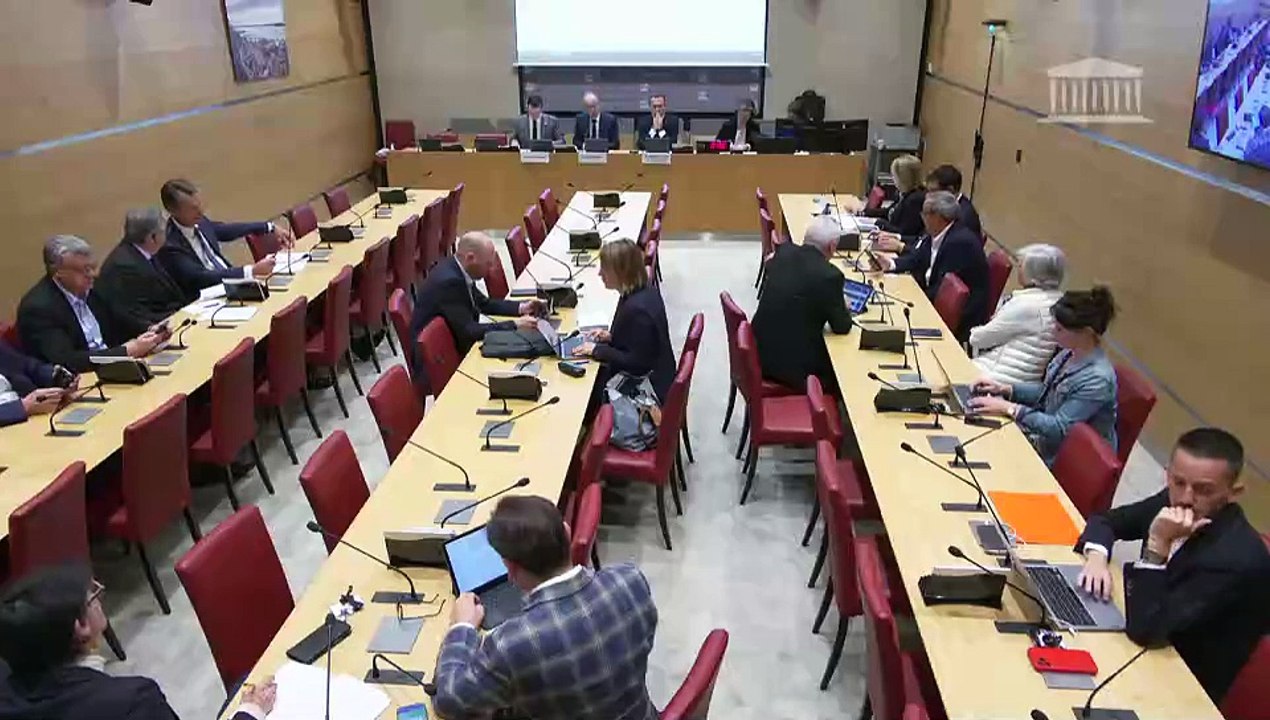 Commission du développement durable : Représentants du Conseil économique social et environnemental (CESE) sur la transition écologique et l’adaptation au changement climatique - Mercredi 5 juin 2024