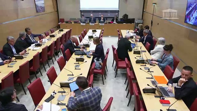 Commission du développement durable : Représentants du Conseil économique social et environnemental (CESE) sur la transition écologique et l’adaptation au changement climatique - Mercredi 5 juin 2024