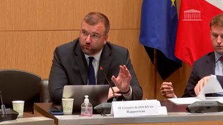 Perte de souveraineté alimentaire de la France : M. Pascal Canfin, député européen ; M. Dominique Schelcher, président-directeur général de Coopérative U - Mercredi 5 juin 2024