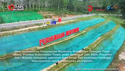 Para Dubes Kagum Saat Kunjungi Persemaian Mentawir di IKN Bersama Jokowi
