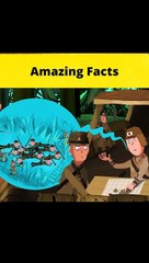 Soldier Who Didnt Know WW2 Ended Fact