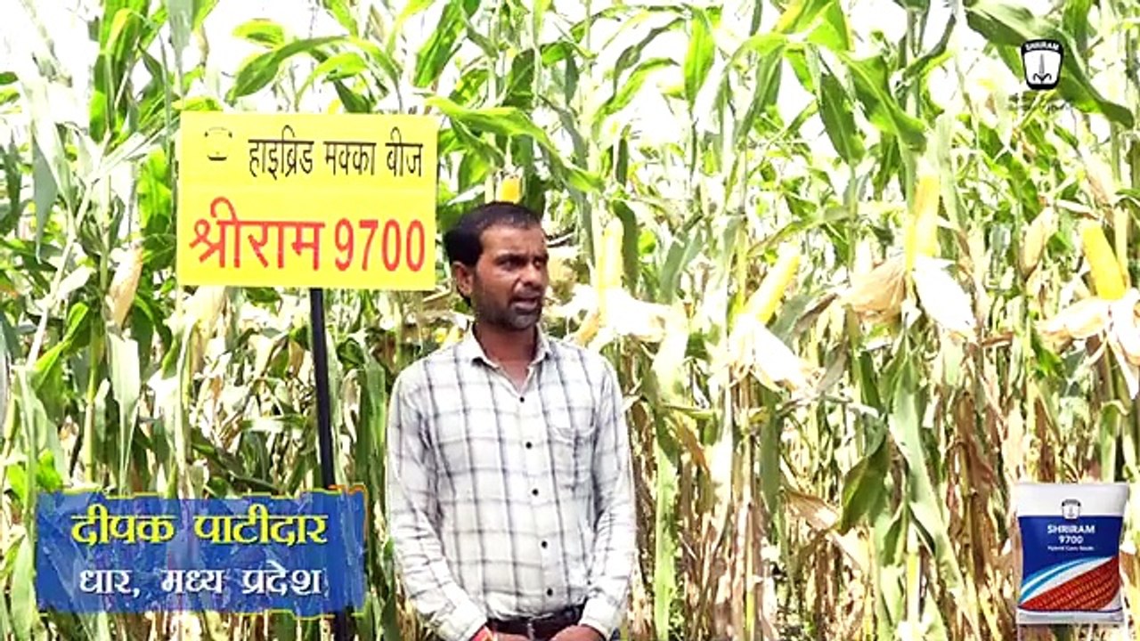 Deepak Patidar's Victory: Opting for Shriram 9700 Hybrid Corn Seeds