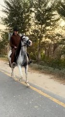 Sardar Abdul Ghani Khan