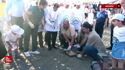 Caretta Caretta 2 yıl sonra denizle buluştu