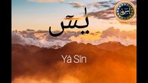 World's best recitation of Surah Yaseen - سورة يس ⋮ Healing Quran ⋮ Learning Quran 786