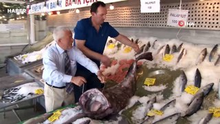 Görenler hayrete düştü, Silivri'den çıkarıldı: 2 dev fener balığı yakalandı