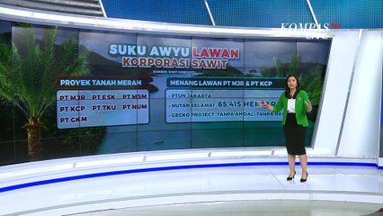 'All Eyes on Papua' Hak Adat Lawan Korporasi Sawit Viral di Media Sosial