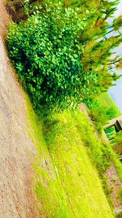 Ma sha Allah Beautiful weather of swat