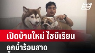 เปิดบ้านใหม่ ไซบีเรียนถูกน้ำร้อนสาด | เที่ยงทันข่าว | 6 มิ.ย. 67