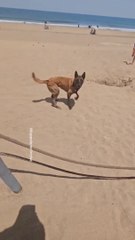 Luppa à la plage à dar bouazza toujours les joujoux