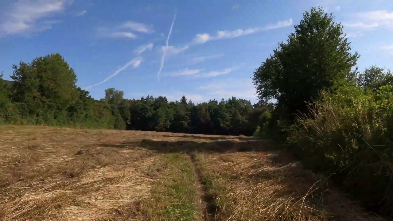 NÖ Wienerwald: MTB Lainzer Tiergarten-Strecke (14)