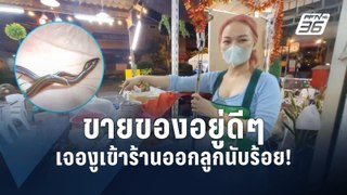 งูเลื้อยเข้าร้านข้าวต้ม ผงะออกลูกเป็นร้อยตัว | PPTV Online