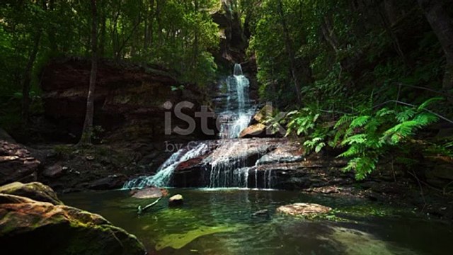 Waterfall With Fresh Water In The Romantic And Idyllic Tropical Jungle Rainforest Blue Mountains National Park In Australia Near Sydney Cinemagraph Seamless Video Loop Of Cascade In Natural Green Forest Landscape With Fern And Palm Trees Cinematic