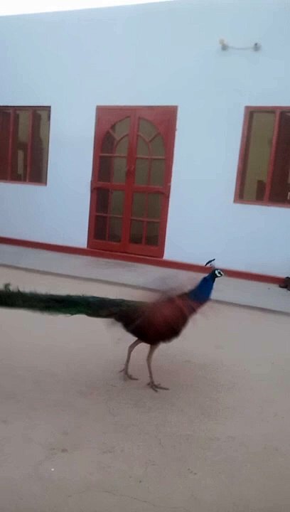 video_20240605_191608