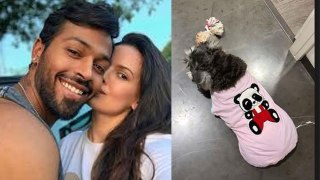 Natasha Stankovic New Post Ends Divorce Rumors Viral,'Baby Pandya...'|Boldsky