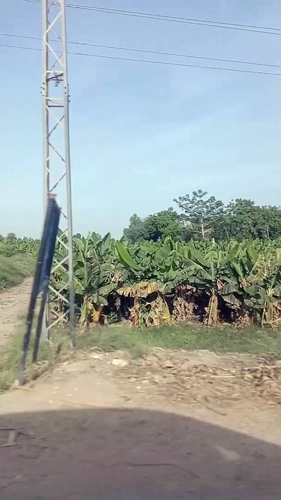 Village Fun