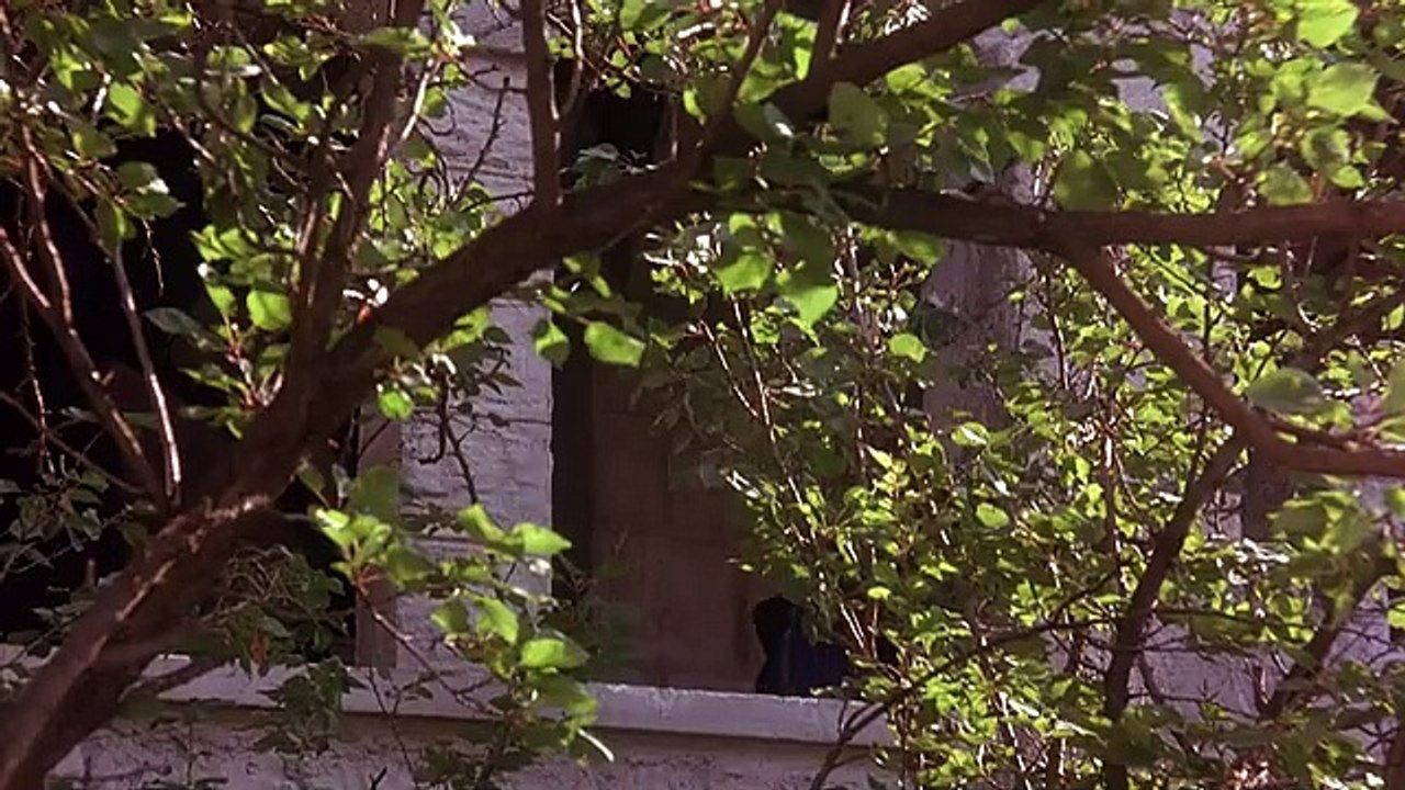 The Oath  Daniel Craig Full Movie in English HD