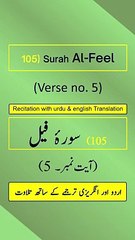 Surah Al-Feel (الفیل) Ayah/Verse/Ayat 5 Recitation (Arabic) with English and Urdu Translations