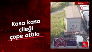 Bursa'da kasa kasa çileği çöpe attılar